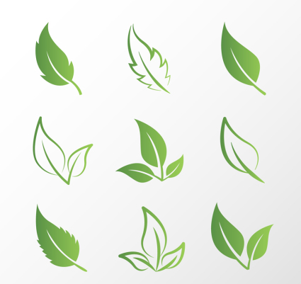 9 creative design green leaves vector material