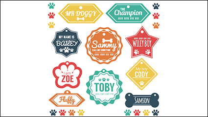 10 models of color dog tag vector material