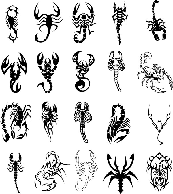 Scorpion totem vector material