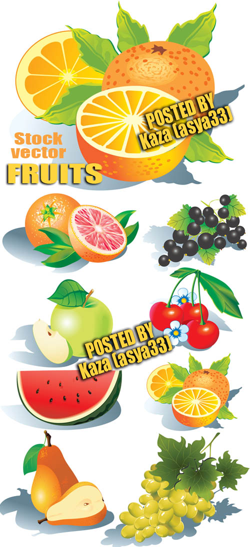 Vector Fruits