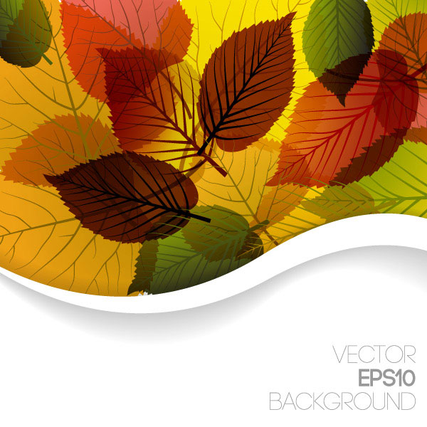 Autumn leaves design vector material -3