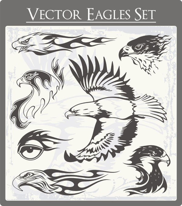 Eagle 01 - vector material