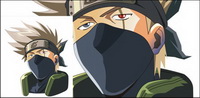 Vector flag wood Kakashi picture