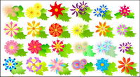 Colorful flowers vector of material			