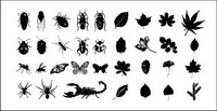 Swords, birds, skeletons, insects, leaves Vector