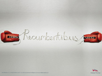 Excellent dimensional works  (8)