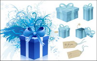 tag snowflake gift box