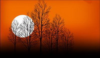 Sunset Tree Dusk Moon Vector