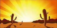 Cactus, sunset, desert, hot  vector