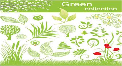 Vector material plants