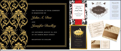 Vector ornate patterns cover