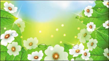 Beautiful flowers 04-- vector material