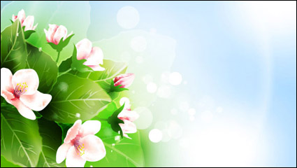 Beautiful flowers vector material -2 