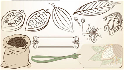 Fine line issued on cocoa beans - Vector