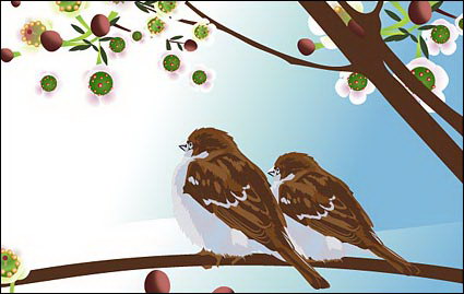 Two birds vector