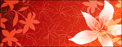 Lily flowers and line drawing vector background material